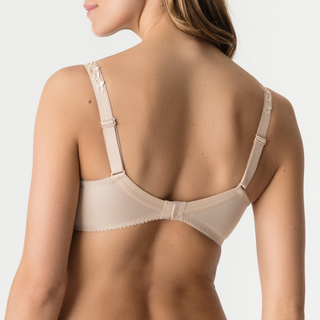 BH's bruin Prima Donna