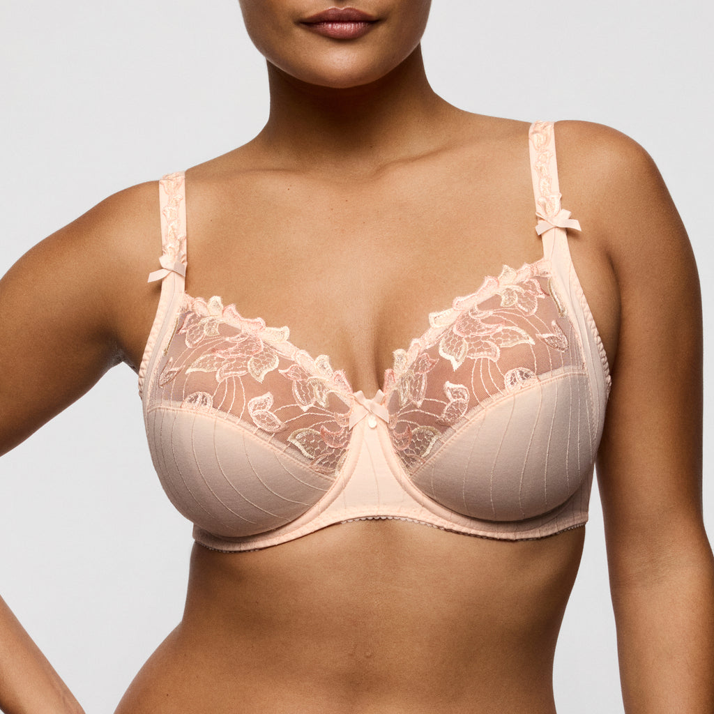 BH's multicolor Prima Donna