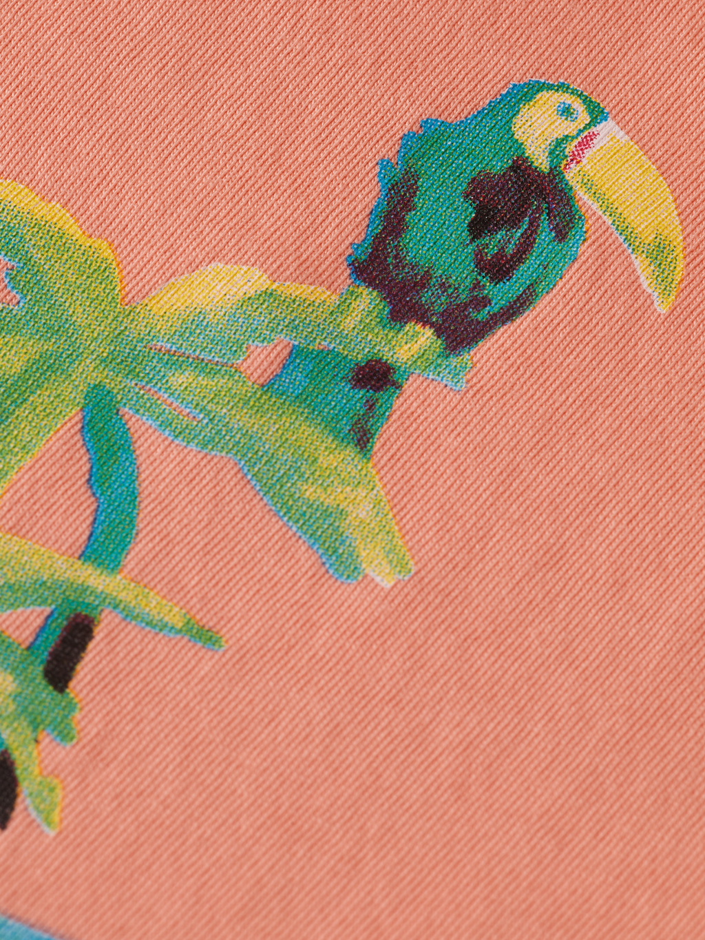 T-shirts korte mouw roze Scotch & Soda