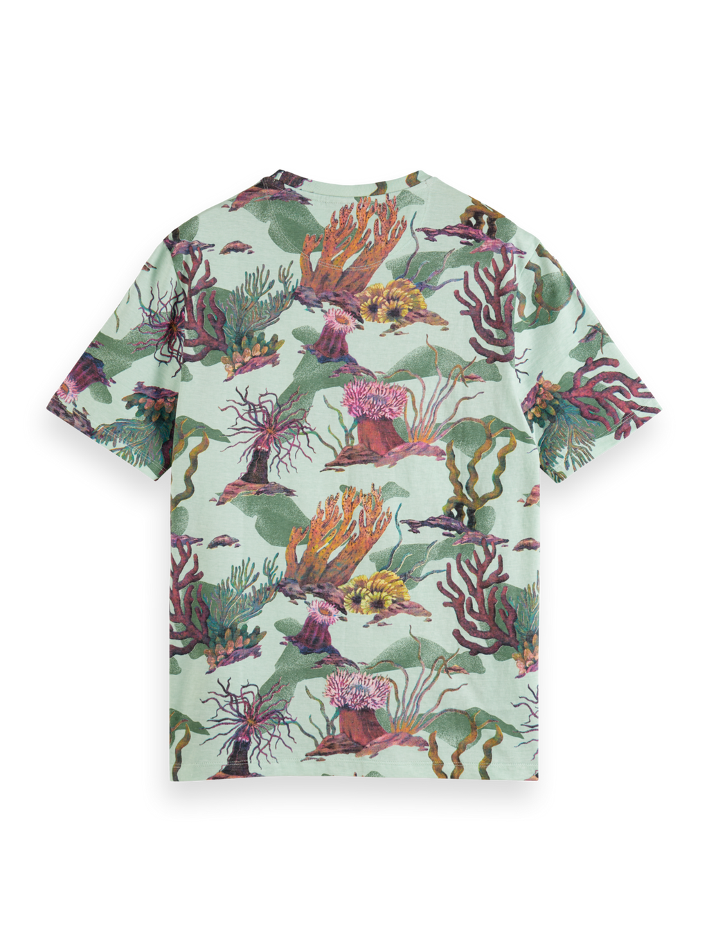 T-shirts korte mouw roze Scotch & Soda