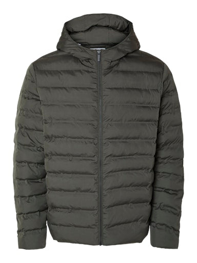 Jassen  Selected HOMME