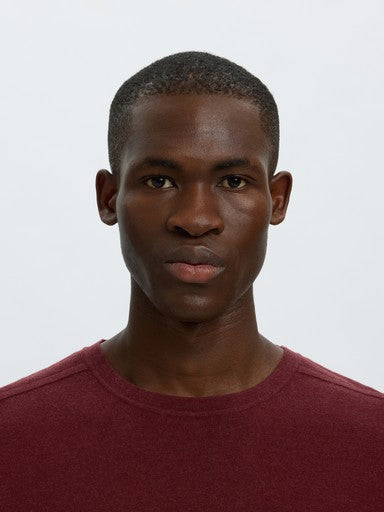 Pulls bordeaux Selected HOMME