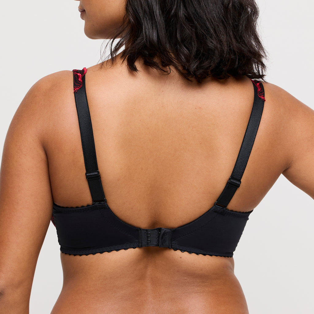 BH's multicolor Prima Donna
