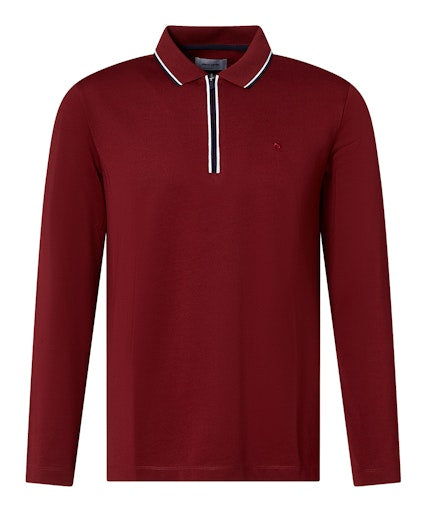 Polo's lange mouw multicolor Pierre Cardin