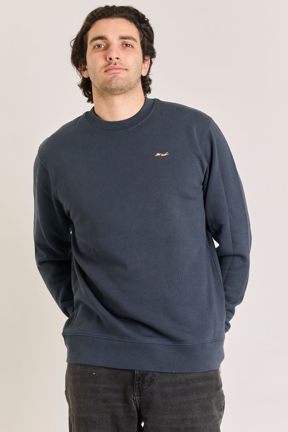 Sweaters blauw STRØM