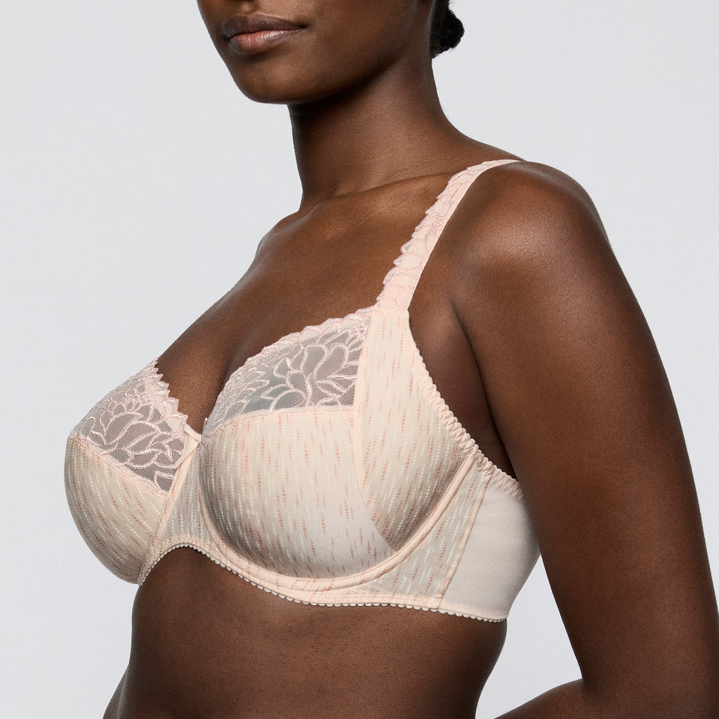 BH's multicolor Prima Donna