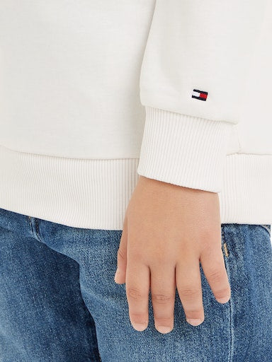 Sweaters wit Tommy Hilfiger
