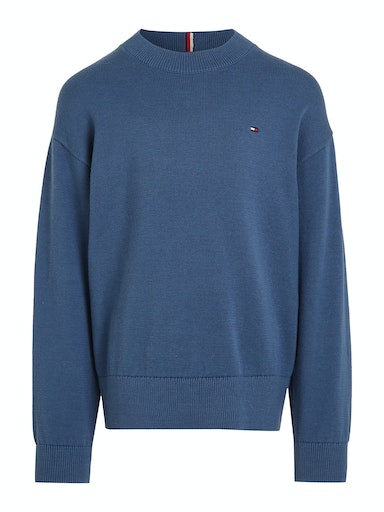 Pulls blauw Tommy Hilfiger