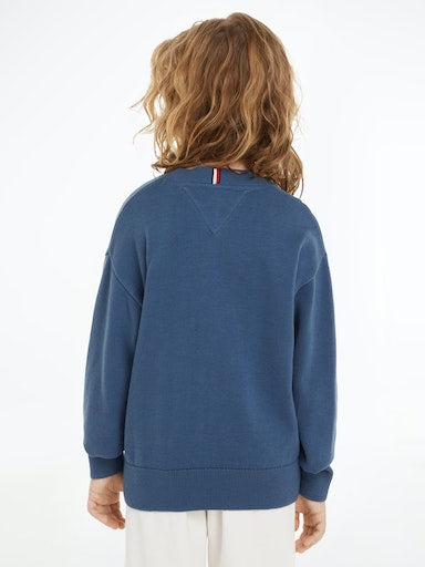 Pulls blauw Tommy Hilfiger