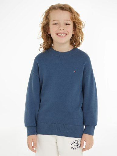 Pulls blauw Tommy Hilfiger