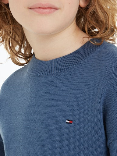 Pulls blauw Tommy Hilfiger