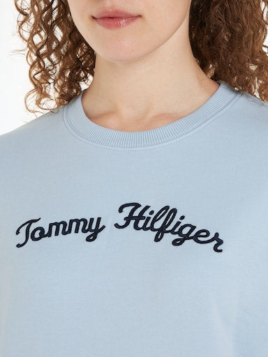 Sweaters blauw Tommy Hilfiger