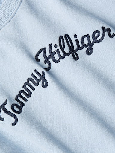 Sweaters blauw Tommy Hilfiger