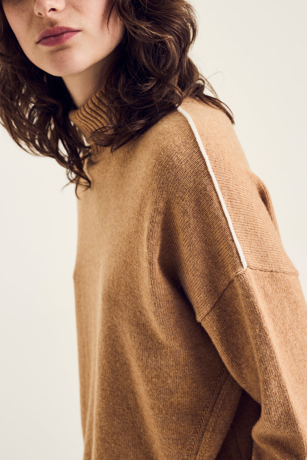 Pulls bruin Terre Bleue