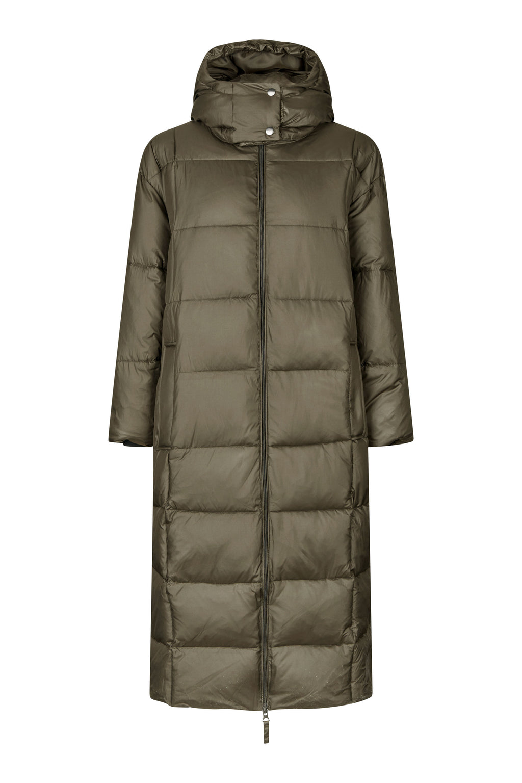 Mantels bruin Second Female