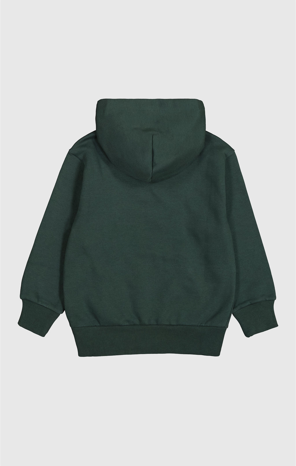 Sweaters groen Champion