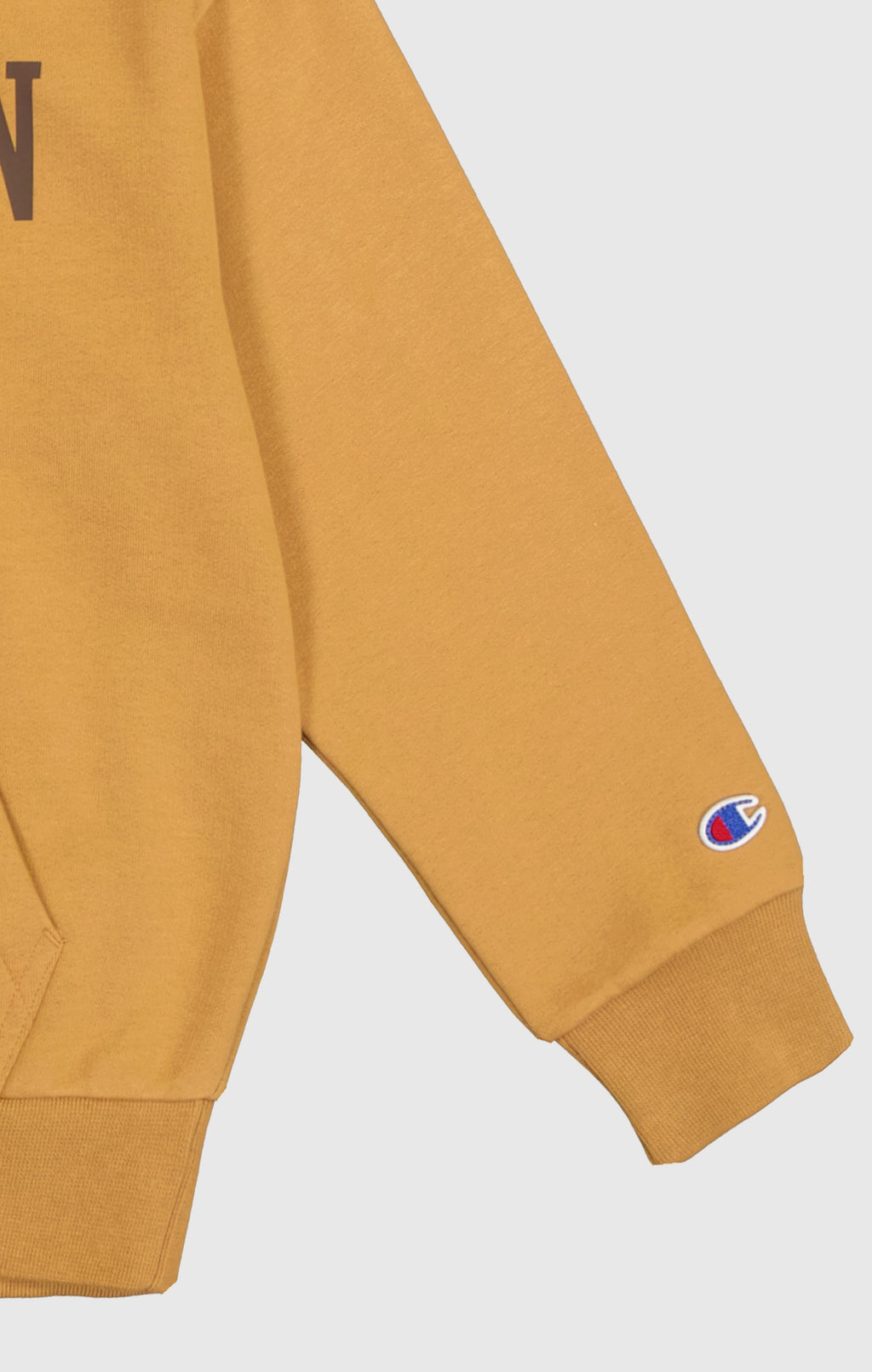 Sweaters bruin Champion