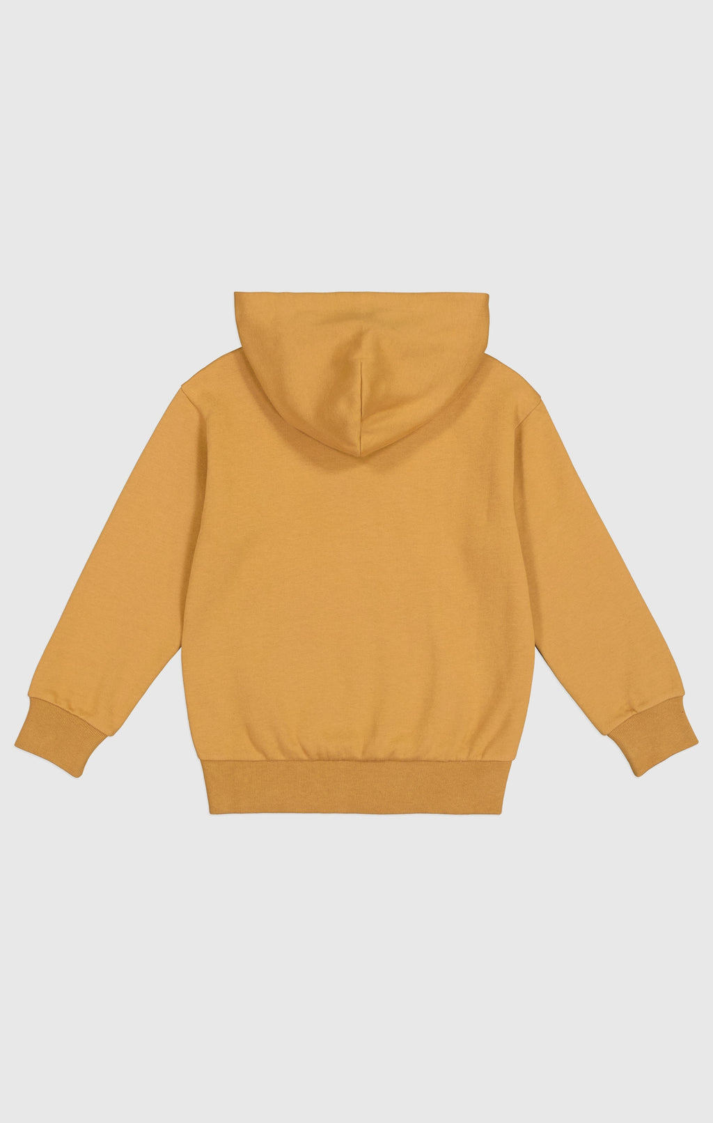 Sweaters bruin Champion