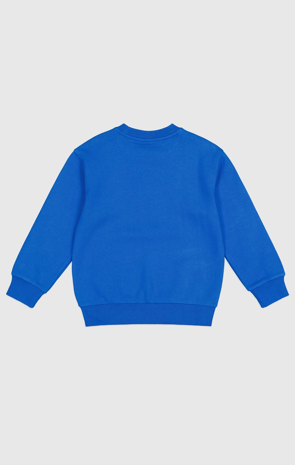 Sweaters blauw Champion