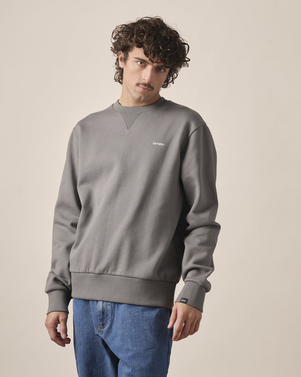 Sweaters grijs ANTWRP