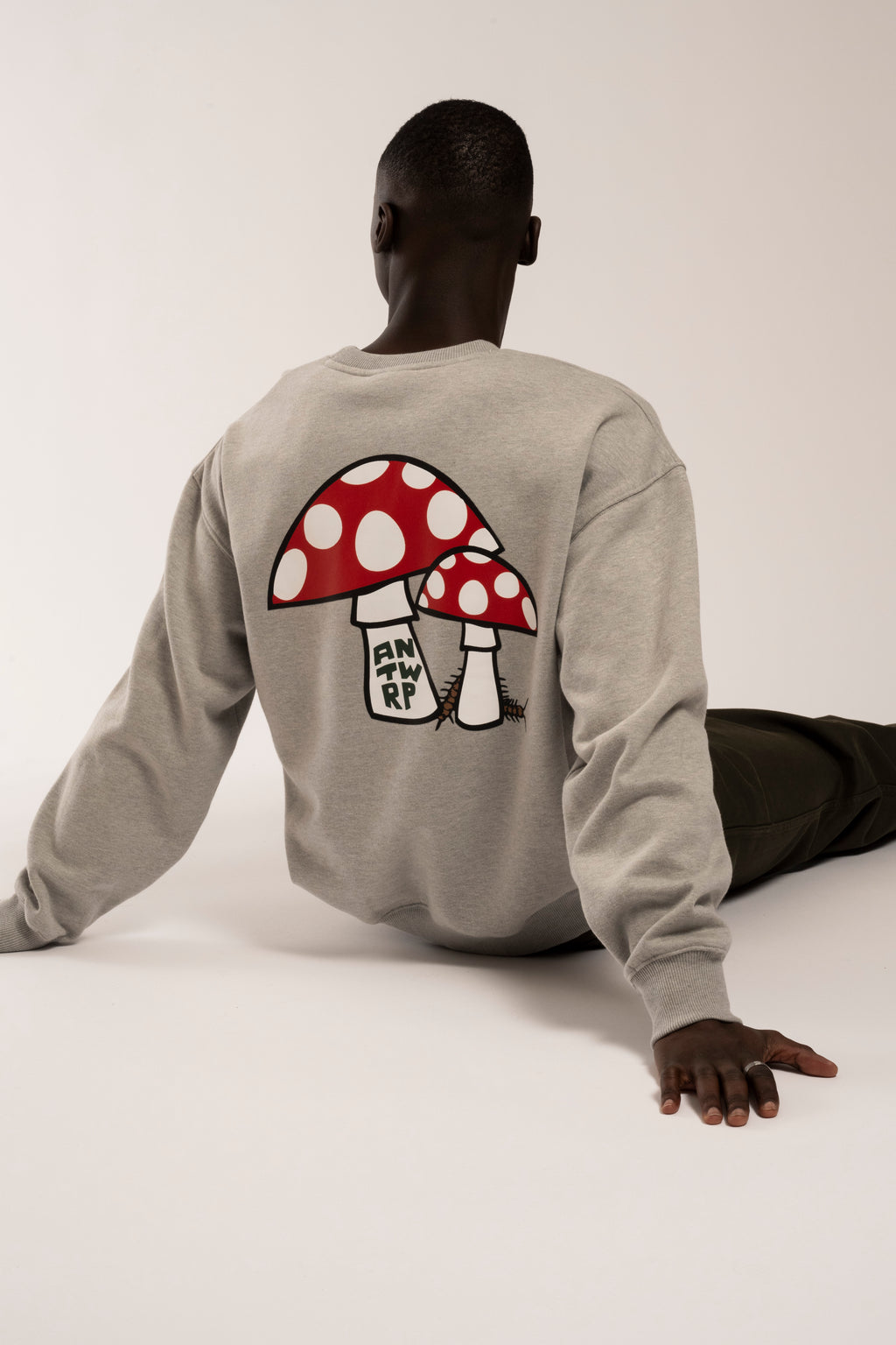 Sweaters grijs ANTWRP