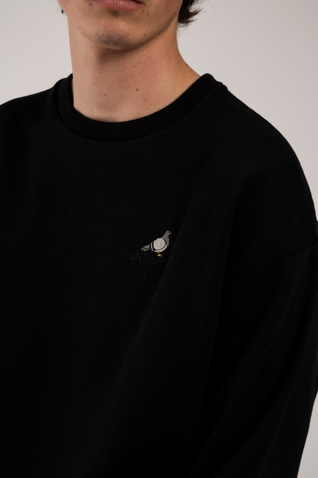 Sweaters zwart ANTWRP