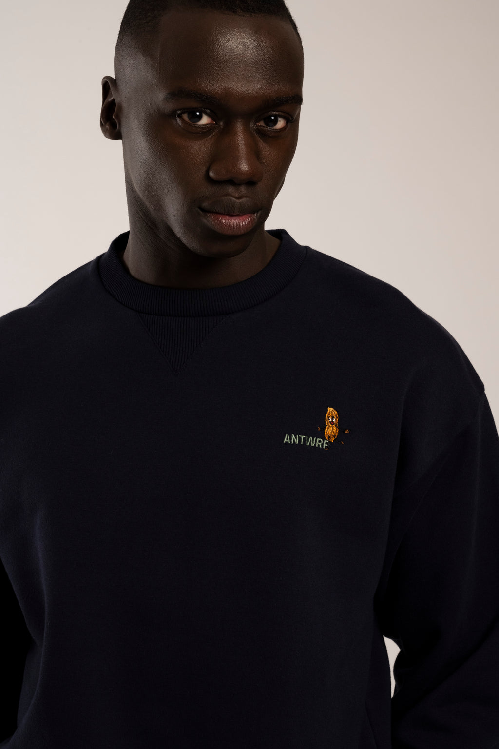 Sweaters blauw ANTWRP