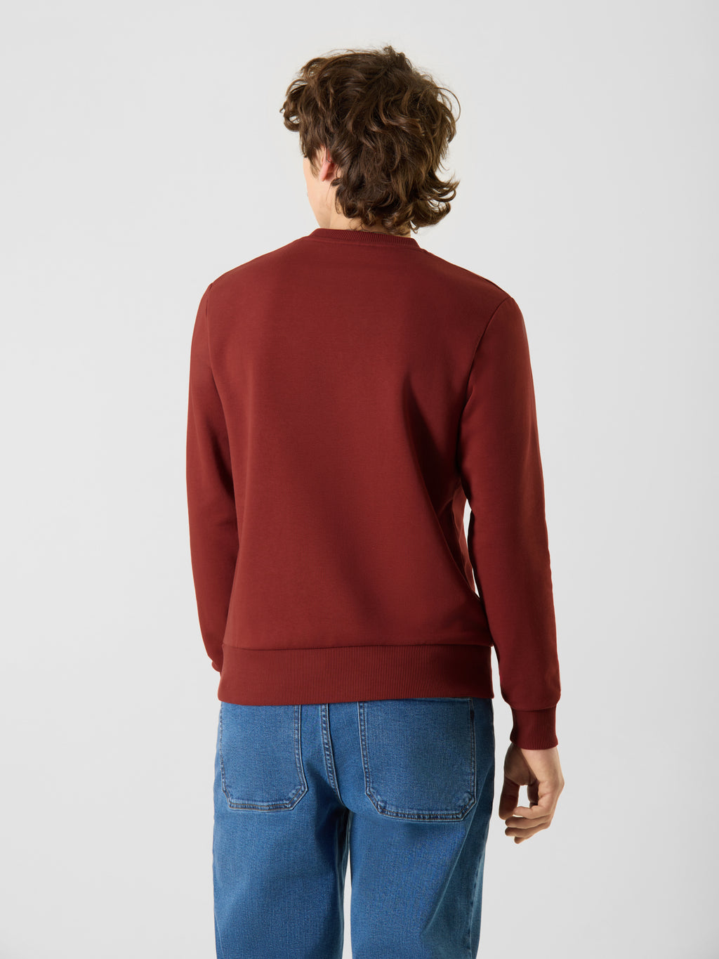 Sweaters bordeaux ANTWRP