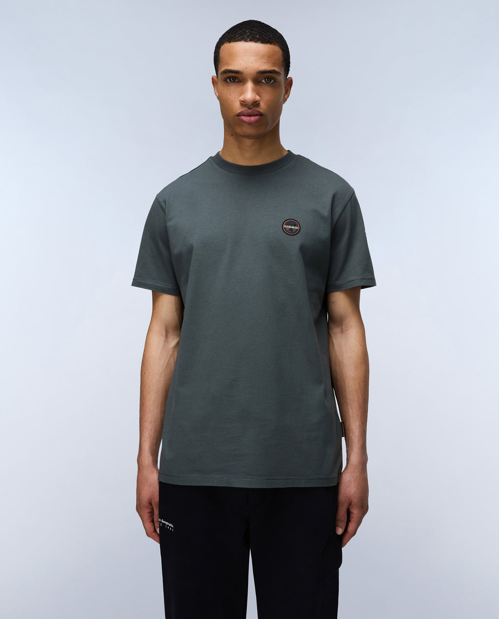 T-shirts korte mouw groen Napapijri
