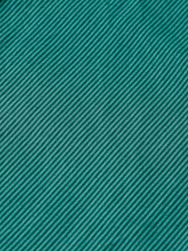 Hemden lange mouw groen Scotch & Soda