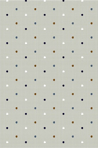 Hemden lange mouw multicolor R.B. Boston