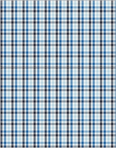 Hemden lange mouw blauw Fynch-Hatton