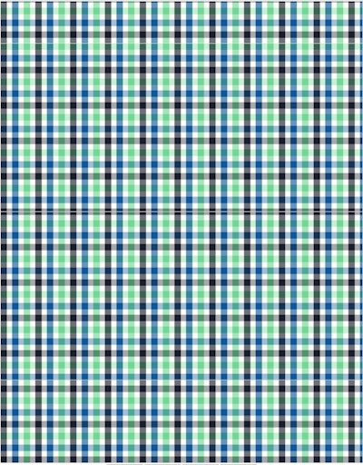 Hemden lange mouw groen Fynch-Hatton