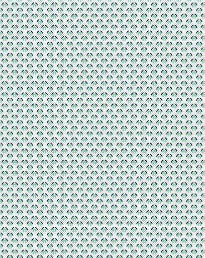 Hemden lange mouw groen Fynch-Hatton