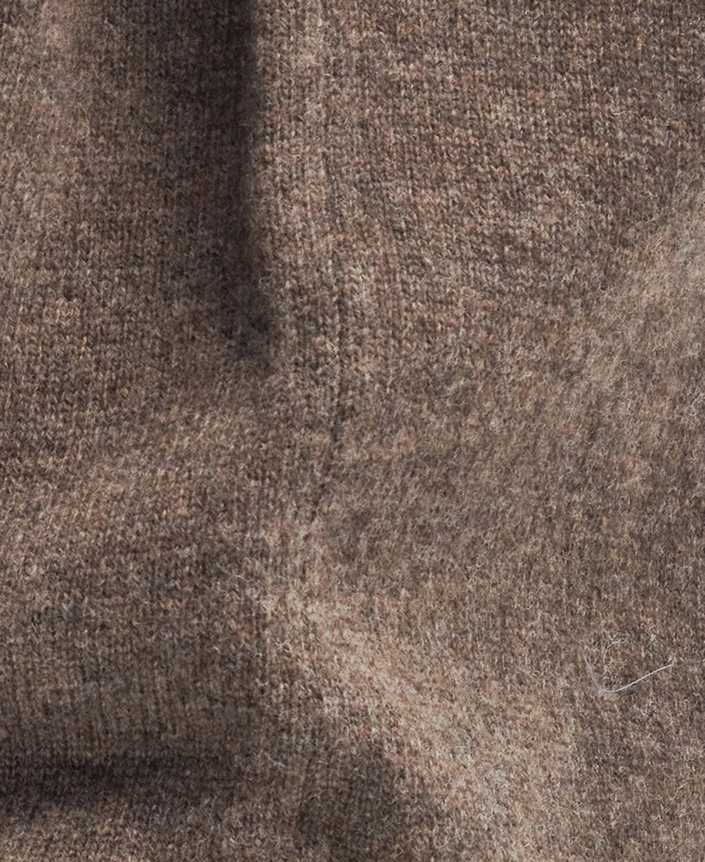 Pulls bruin Barbour