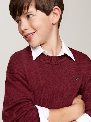 Sweaters rood Tommy Hilfiger