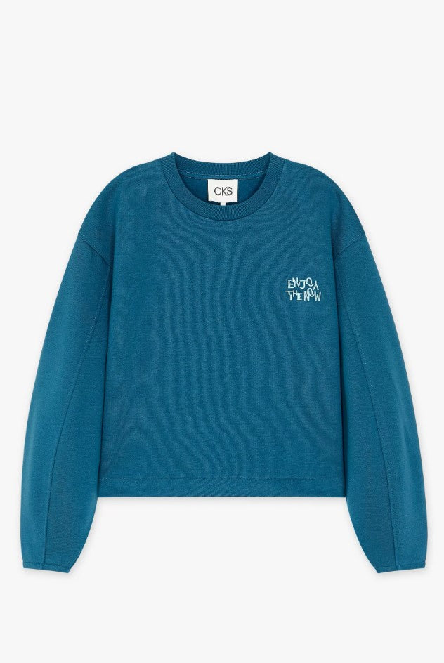 Sweaters blauw CKS