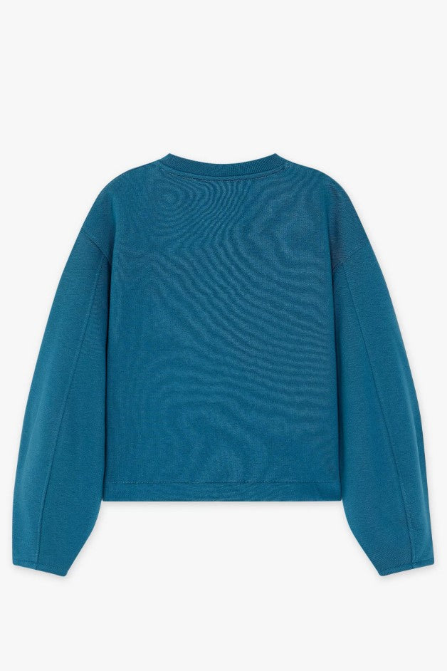 Sweaters blauw CKS