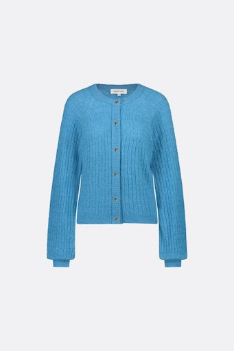 Cardigans blauw Fabienne Chapot