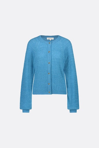 Cardigans blauw Fabienne Chapot