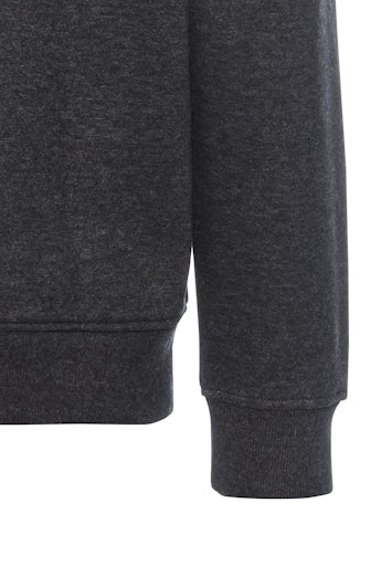 Sweaters grijs Camel active