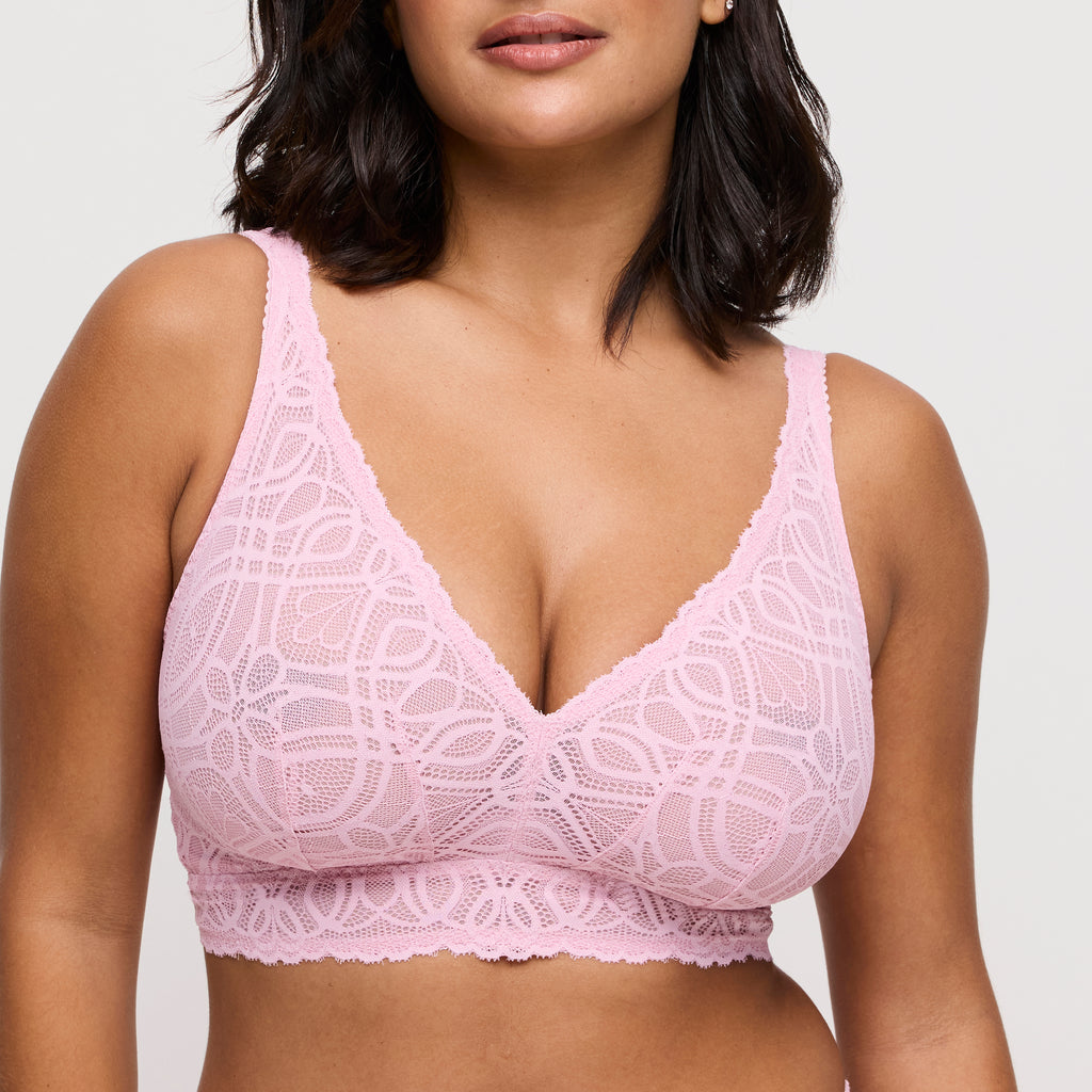 BH's multicolor Prima Donna