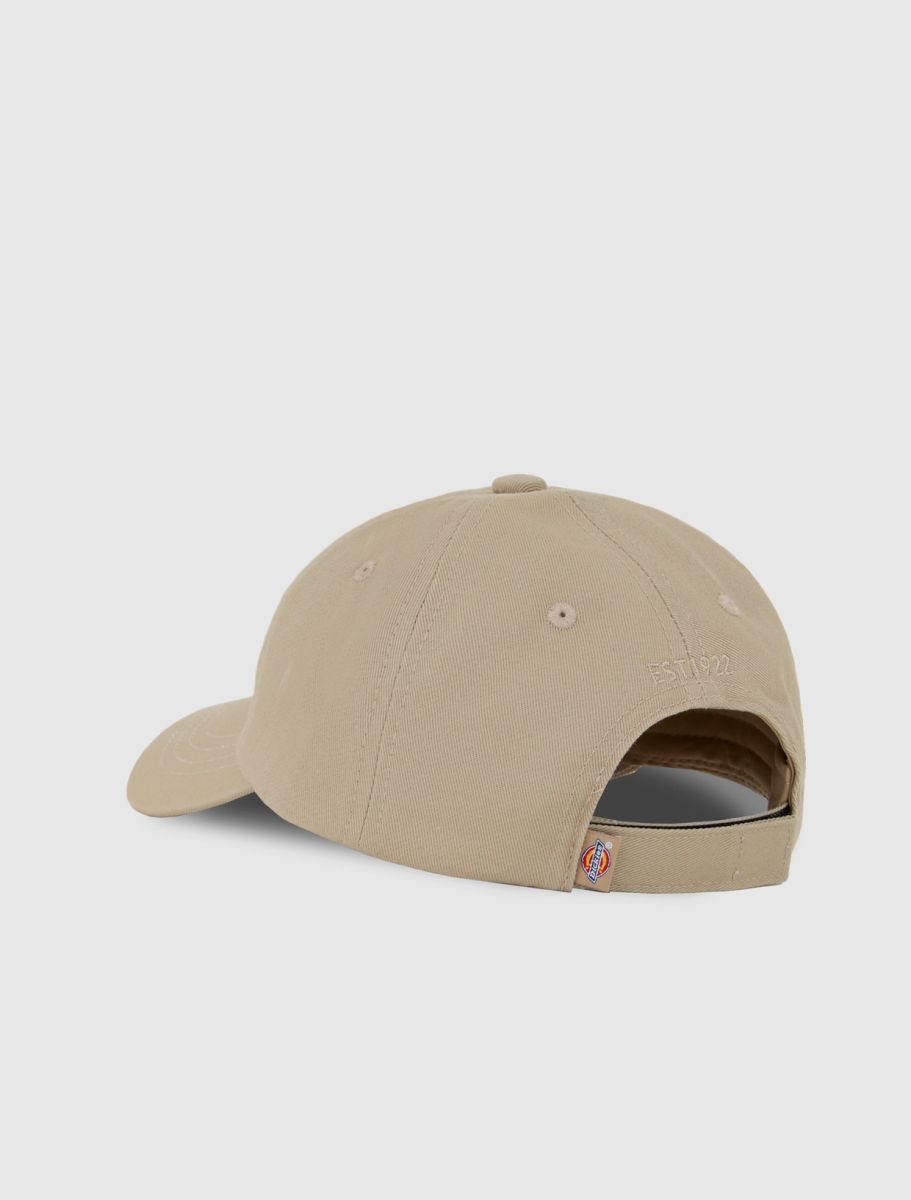 Hoeden/Petten bruin Dickies