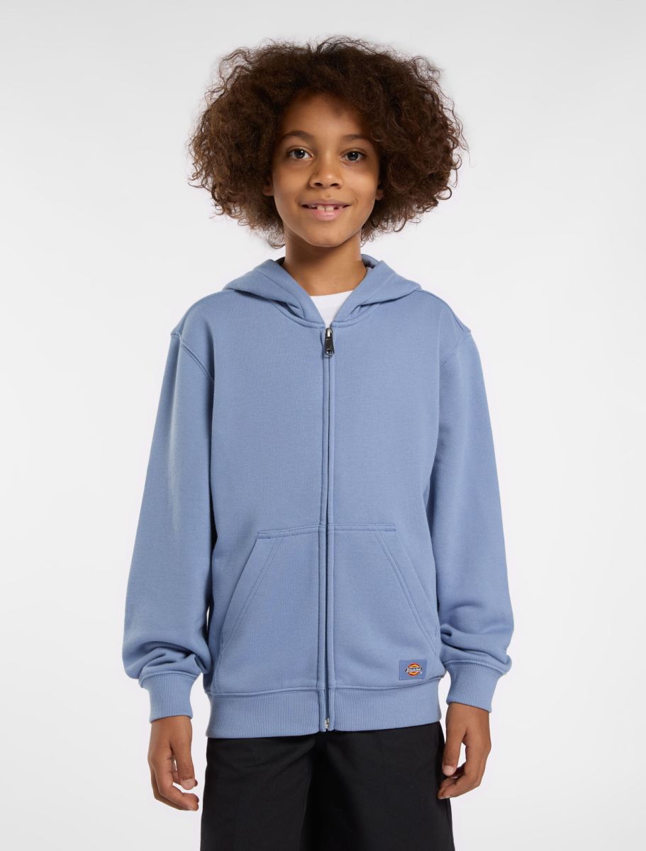 Sweaters blauw Dickies