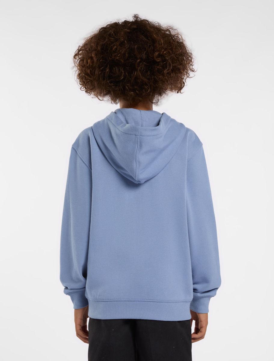 Sweaters blauw Dickies