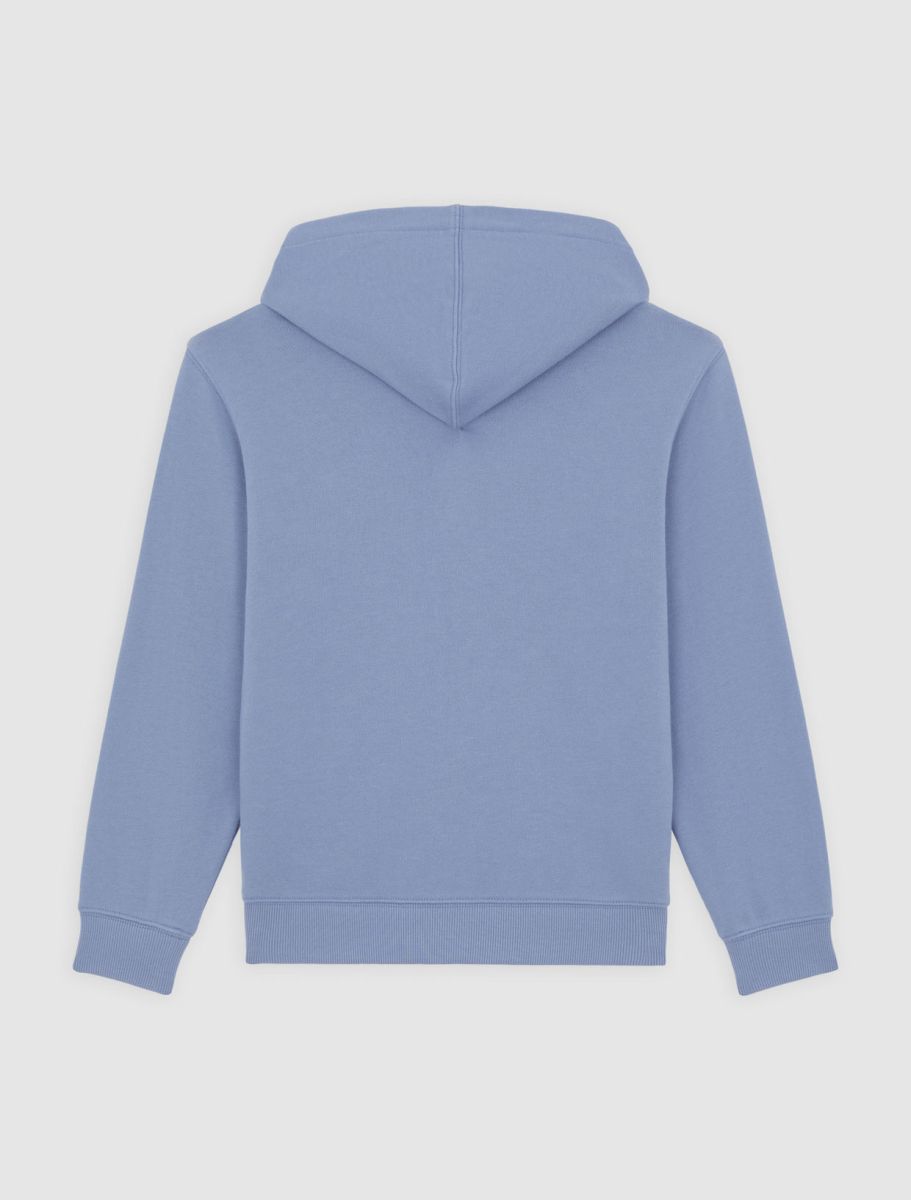 Sweaters blauw Dickies