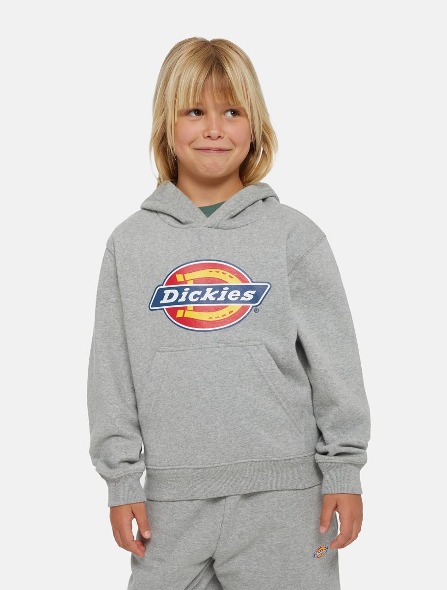 Sweaters grijs Dickies