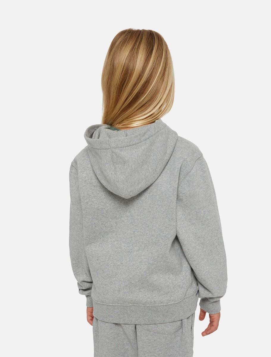 Sweaters grijs Dickies