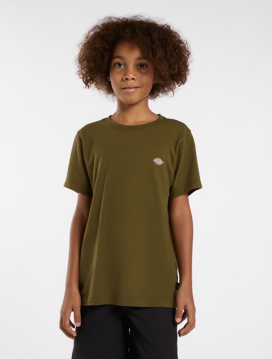 T-shirts korte mouw groen Dickies