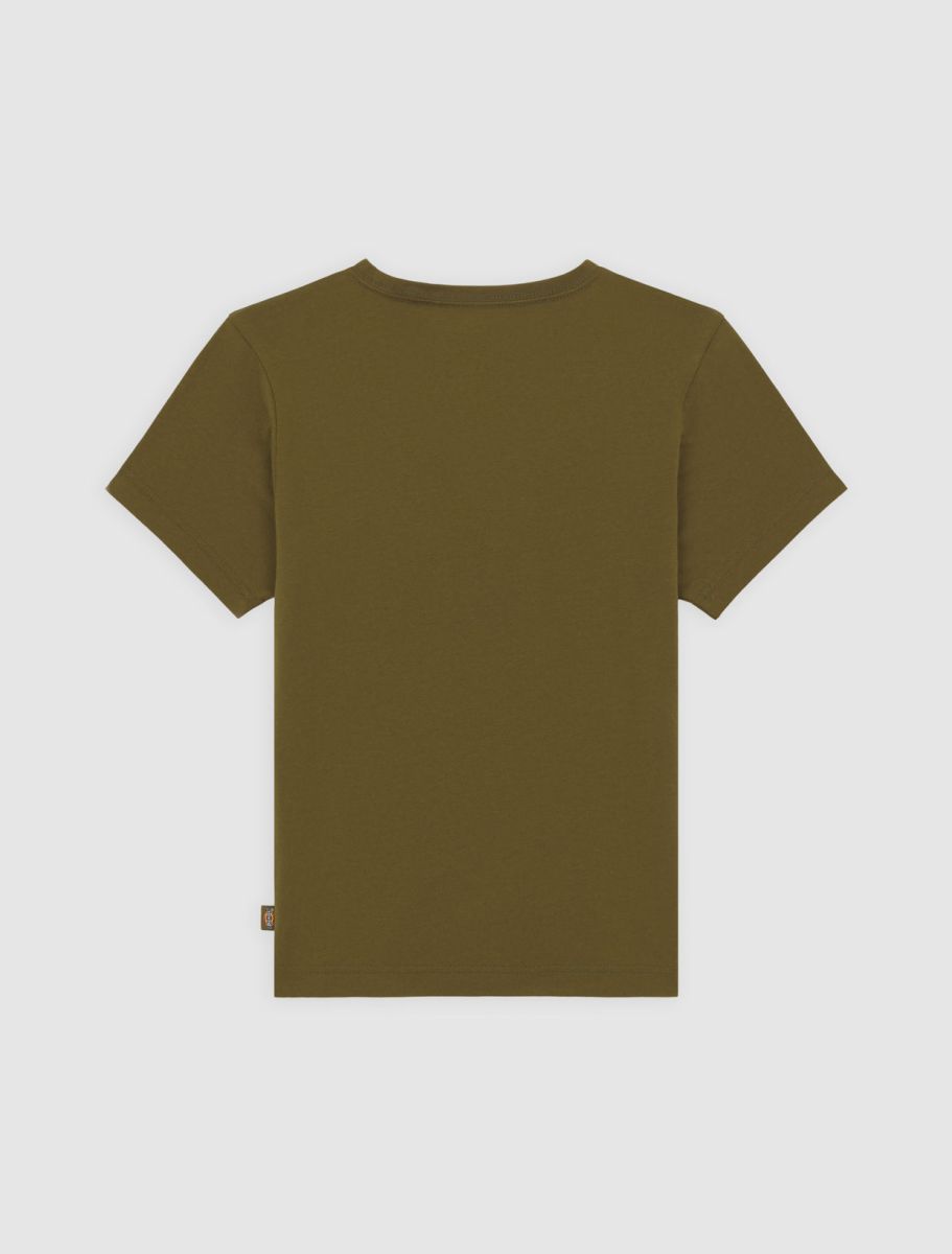 T-shirts korte mouw groen Dickies